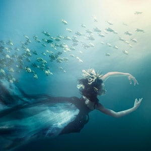 Specialty: Underwater Photography